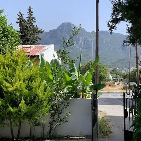 Green Yard Holiday -4 Min Walk To The Beach *
